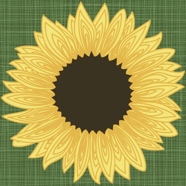 Background pattern with sunflower — Stock Vector