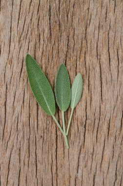 Rustik ahşap zemin üzerine taze adaçayı yaprağı. Anti adaçayı faydaları-