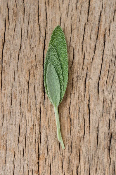 Fresh sage leaf on rustic wooden background. Sage Benefits Anti- — Stock Photo, Image