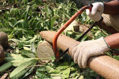 Marangoz kesme ahşap ile gördüm. El ile çalışan usta gördüm