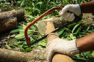 Marangoz kesme ahşap ile gördüm. El ile çalışan usta gördüm