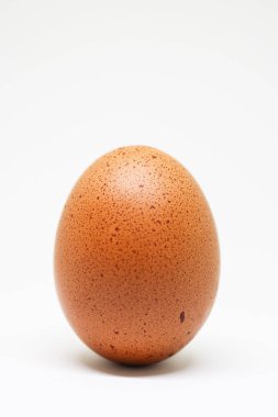 fresh chicken egg on white background. isolated brown egg. clipart