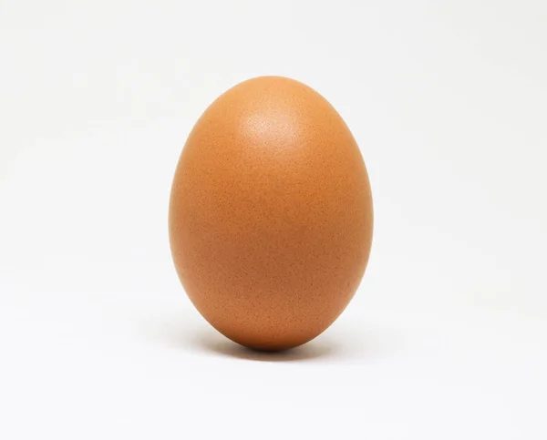 Ovo de galinha fresco no fundo branco. ovo castanho isolado . — Fotografia de Stock