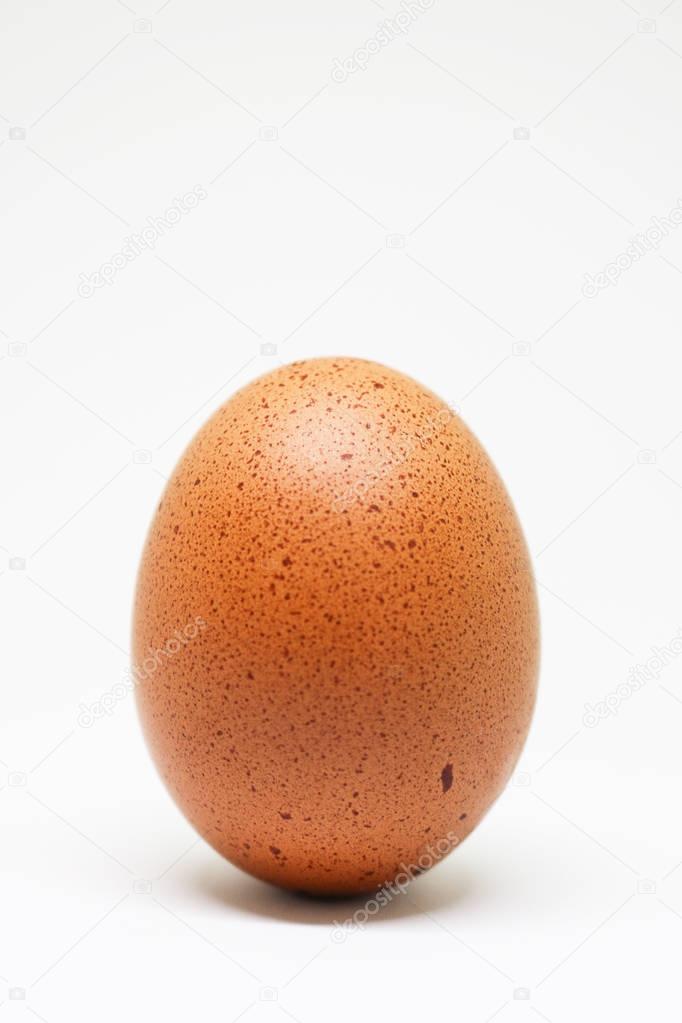 fresh chicken egg on white background. isolated brown egg.