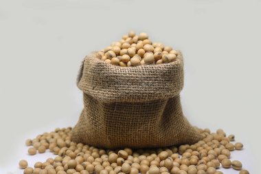 Beyaz arka plan üzerinde kenevir çuval torba soya fasulyesi.