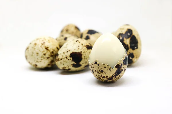 Huevos de codorniz sobre fondo blanco . —  Fotos de Stock