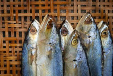 Bambu Hasır arka plan üzerinde tuzlanmış uskumru.