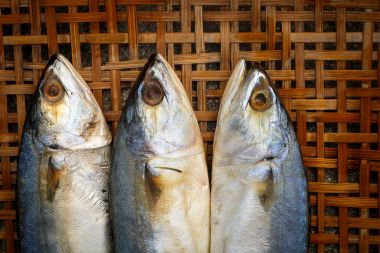 Bambu Hasır arka plan üzerinde tuzlanmış uskumru.