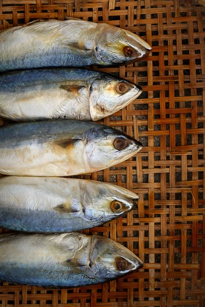 Bambu Hasır arka plan üzerinde tuzlanmış uskumru.