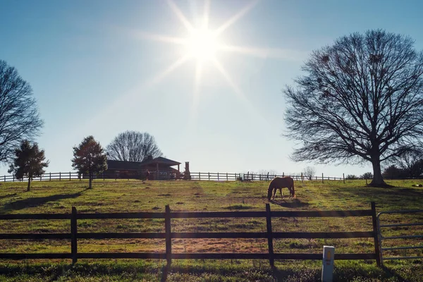 Ferme Avec Clôture Coucher Soleil Début Printemps Cheval — Photo