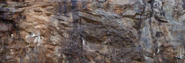 kahverengi Rock doku arka plan