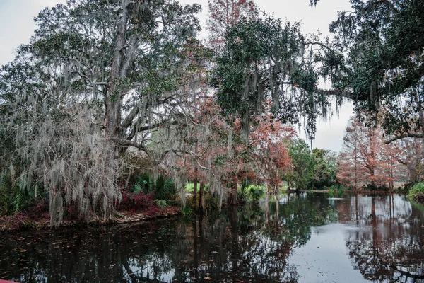 Park Charleston Carolina Sul Eua Lago Musgo Espanhol Nas Árvores — Fotografia de Stock