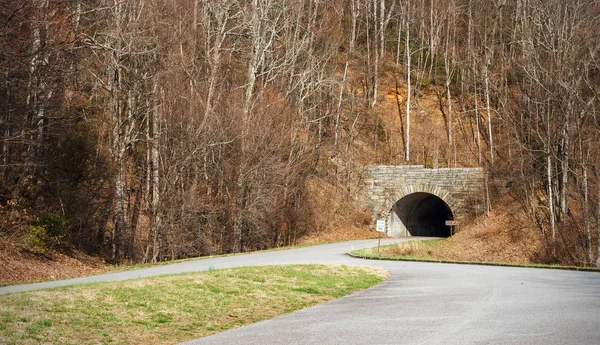 Blue Ridge Parkway Тунель — стокове фото