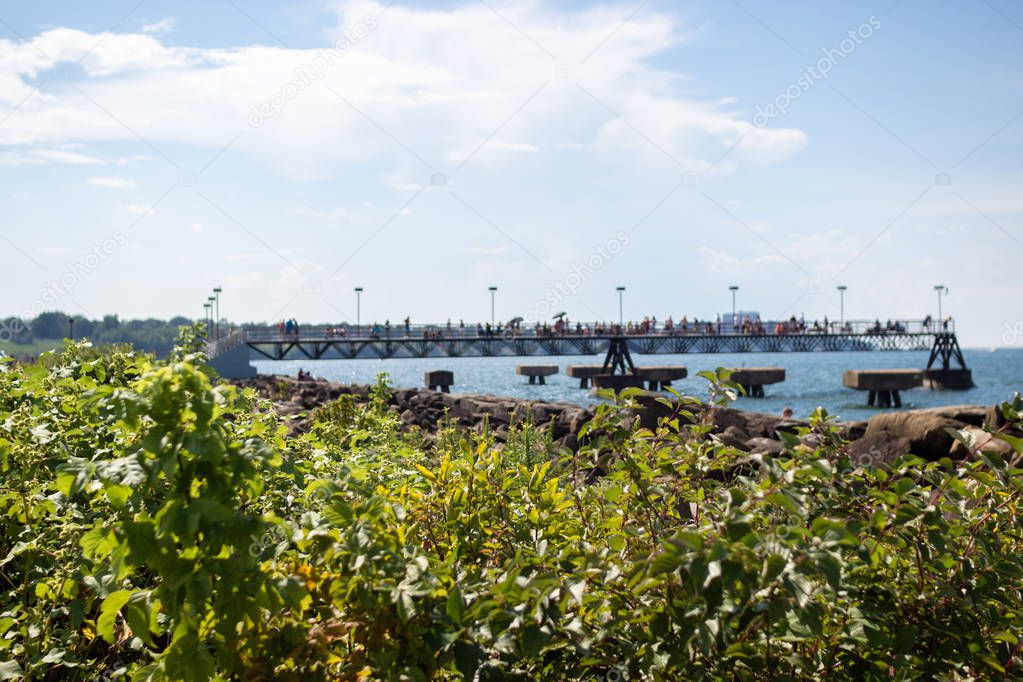 Summer landscape with a lake and a pier, in the foreground grass, in the background people stand on a pier. Lake Erie, Cleveland, Ohio, USA