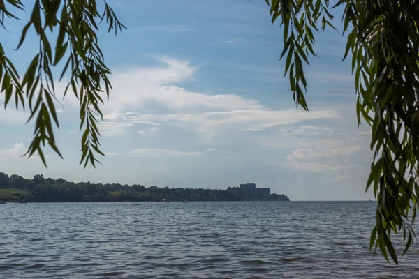Üzerinde martıların uçtuğu bir gölet olan yaz manzarası ufukta binalar görünüyor. Erie Gölü, Cleveland, Ohio, ABD