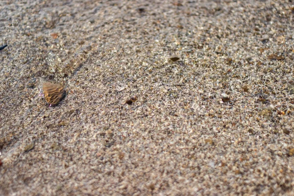 Pozadí Písku Vody Průhlednou Vodou Prosvítá Dno Nádrže Písku Malých — Stock fotografie