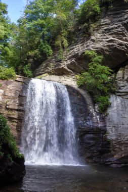 Şelalesi olan güzel bir yaz manzarası. Ağaçlarla kaplı dev uçurumların arasında büyük bir şelale. Looking Glass Fall, NC, ABD