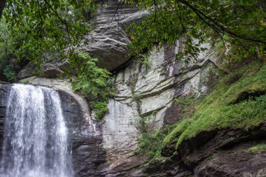 Şelalesi olan güzel bir yaz manzarası. Ağaçlarla kaplı dev uçurumların arasında büyük bir şelale. Looking Glass Fall, NC, ABD