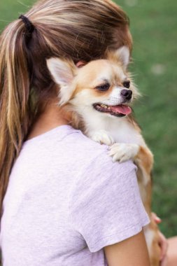 Küçük bir köpek kızların omzuna oturur ve pençelerini omzuna koyar. Uzun sarı saçlı kız küçük bir chihuahua 'nın omzunda