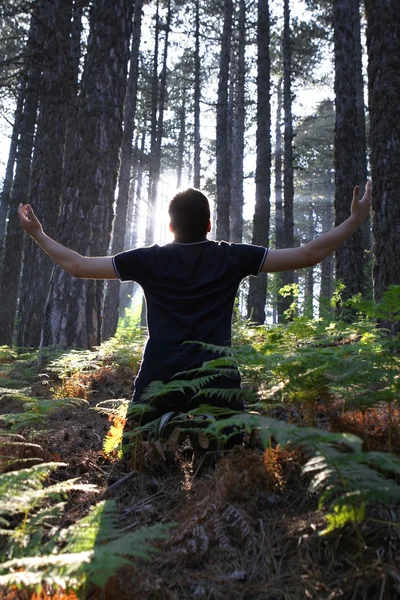 Adam ormanda kaldırdı silah ile diz çökmüş