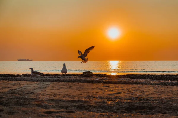 Superbe lever de soleil sur la mer — Photo