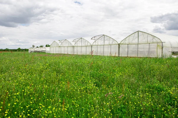 View of greenhouses in the countryside — Stock Photo, Image