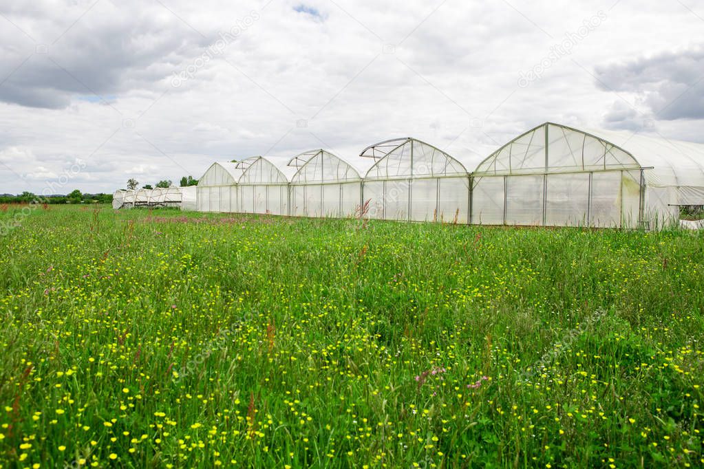 View of greenhouses in the countryside