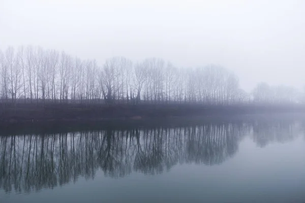 在一个雾蒙蒙的日子里, 河边的一排树映衬着 — 图库照片