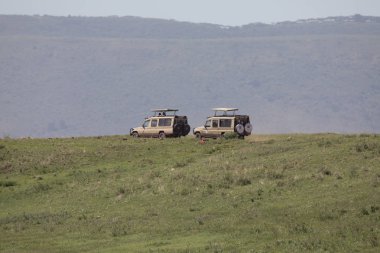 Safari Land Rovers