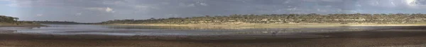 Lago Ndutu Pano — Fotografia de Stock