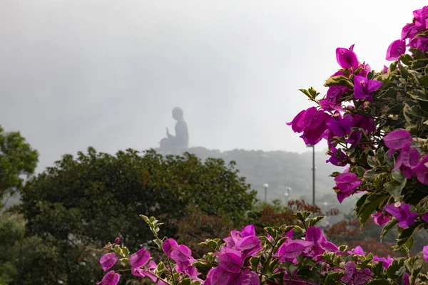 위대한 Budha 동상 — 스톡 사진