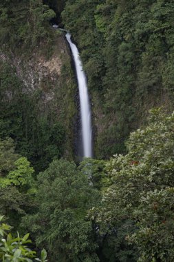 La Fortuna Şelalesi - Arenal