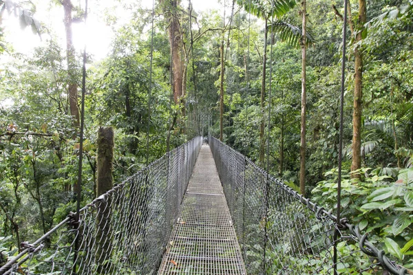 Pontes penduradas da área do vulcão de Arenal — Fotografia de Stock