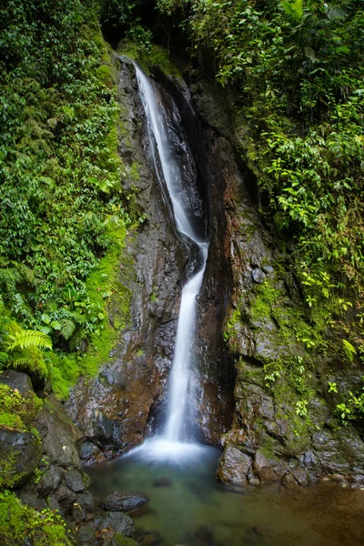 Waterfall of Mistico Hanging Bridges Park — Stock Photo, Image