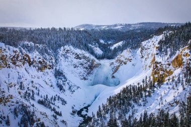 Yellowstone Grand Canyon - Yellowstone Falls