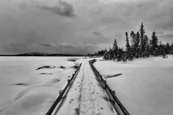Straight black and whote snow covered walking path — Stock Photo, Image