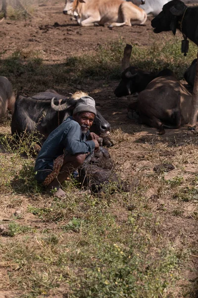 Djurlivet i Kanha och Bhandhavgarh nationalparker — Stockfoto