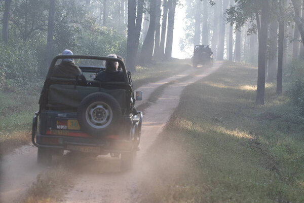 Wildlife of Kanha and Bhandhavgarh National Parks