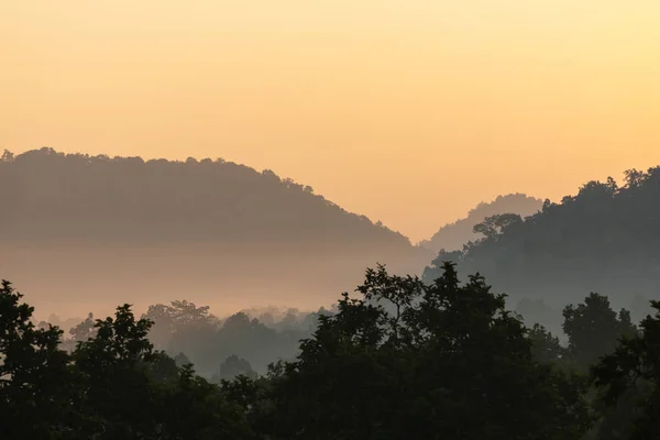 Kanha 의 야생 동물 과 bhandhavgarh 국립 공원 — 스톡 사진