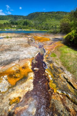 Yeni Zeland Kuzey ve Güney Adalarını Vurguluyor