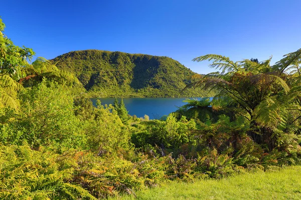 Новая Зеландия выделяет Северный и Южный острова — стоковое фото