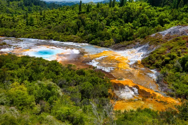 新Zeland Highlights North and South Island — 图库照片