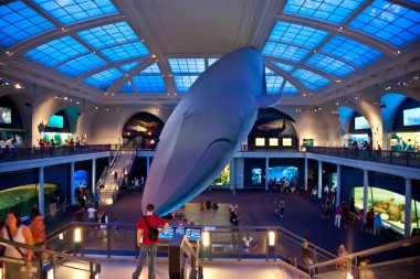 Doğal Tarih Müzesi