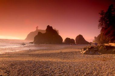 Olimpiyat Ulusal Parkı 'ndaki Ruby Beach' in güzelliği