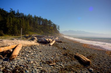 Dungenous Spit - British Columbia 'nın Suları