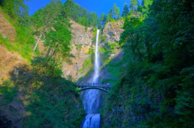 Columbia Vadisi 'ndeki Multonomah Şelalesi