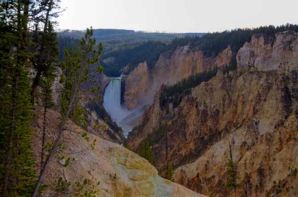 Punto Del Artista Gran Cañón Del Parque Nacional Yellowstone Hora — Foto de Stock