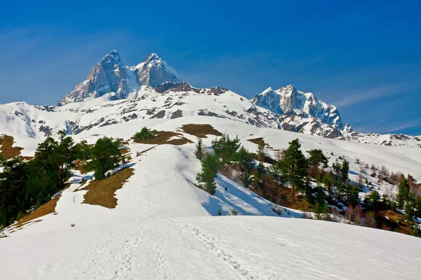 Ushba mountain, kirándulás a Koruldi-tavak, felső Svaneti Caucasus m — Stock Fotó