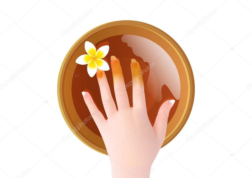 bath for hands spa pampering pack of essential oil and frangipani realistic design vector illustration
