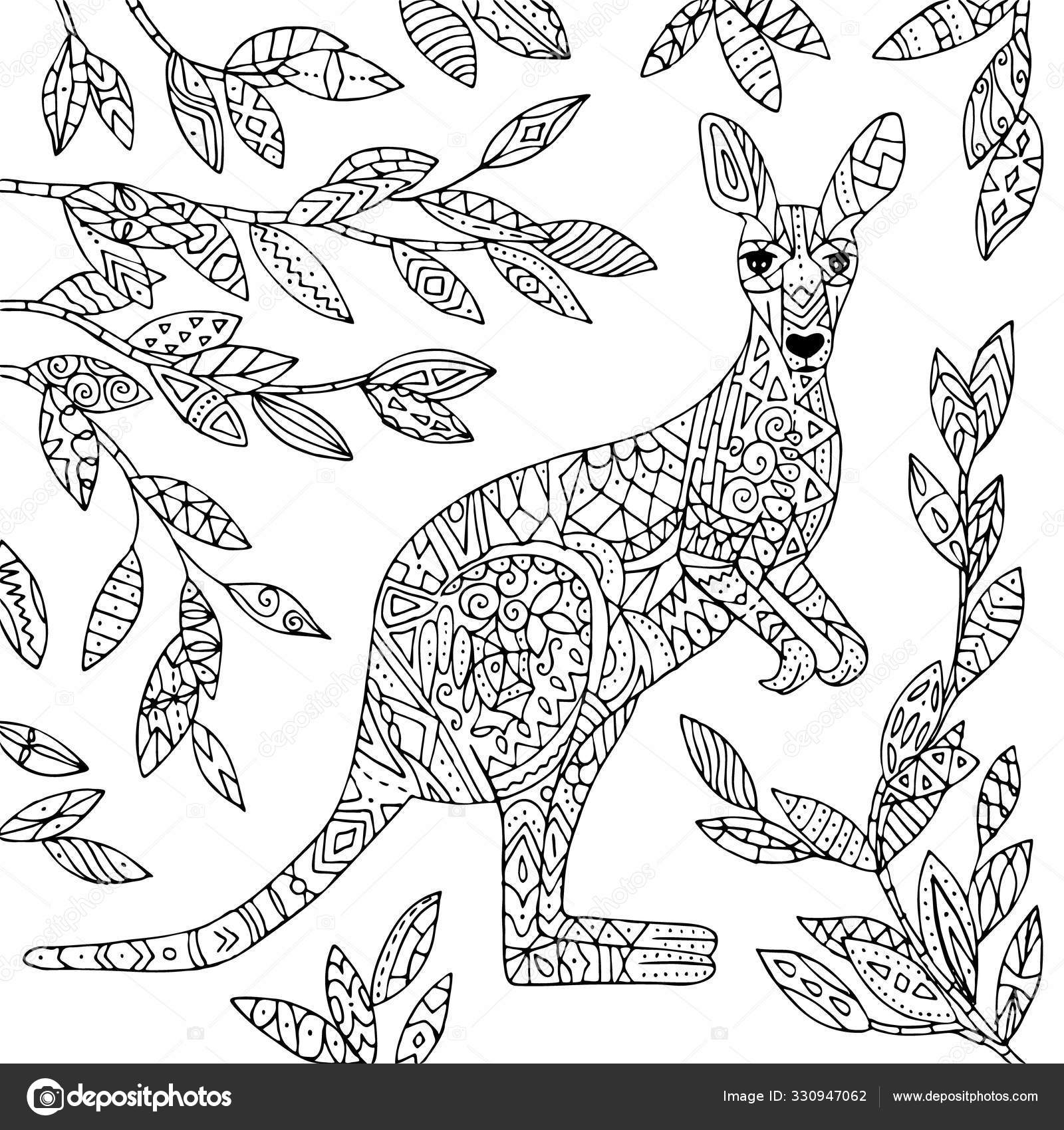52 Adult Coloring Kangaroo Vector Images Free Royalty Free Adult Coloring Kangaroo Vectors Depositphotos